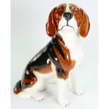 Beswick large fireside Beagle dog 2300: Height 32cm.