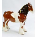 Beswick rare model of a Skewbald Shire horse 818: