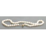 Single string of cultured Pearls with 9ct catch: 40cm long, 6mm diameter.