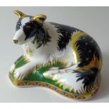 Royal Crown Derby paperweight BORDER COLLIE: Gold stopper, certificate, first quality, original,