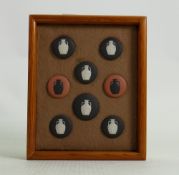 Wedgwood collection of miniature Portland vase plaques: Mounted in wooden frame.