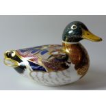 Royal Crown Derby paperweight MALLARD: Gold stopper, NO certificate, first quality, original box.