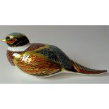 Royal Crown Derby paperweight WOODLAND PHEASANT: Gold stopper, NO certificate, first quality,