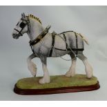 Border Fine Arts Horse Champion Shire Grey B0888A Impressed Anne Wall: Limited Edition 256/500 on