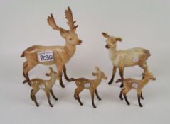 Beswick Stag, Doe and 3 fawns: (5)