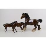 A Beswick cantering shire: together with Royal Doulton DA77 large foal head down and mare DA55 (3).