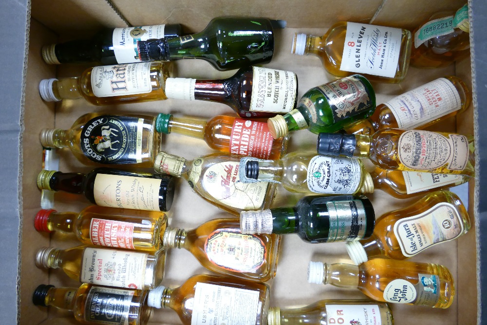 A collection of 5cl Scotch Whisky Miniatures to include: Glenns, knockando Glenn Grant, Red hackle,