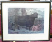 Limited Edition Rare Breed Primitive Cattle Print: