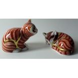 Two x Royal Crown Derby paperweights SLEEPING GINGER KITTEN & SITTING GINGER KITTEN: Gold stoppers,