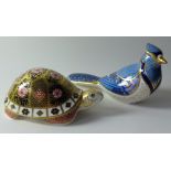 Two x Royal Crown Derby paperweights YORKSHIRE ROSE FATHER TORTOISE 119/1250 & BLUE JAY: Gold