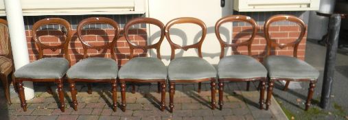 Six Edwardian Balloon back Dining Chairs(6):