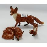 Beswick Large Fox together with Curled Fox 1017 & small seated fox 1748(3)