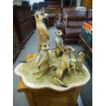 Jane Brewer; a model of five Meerkats on shaped base