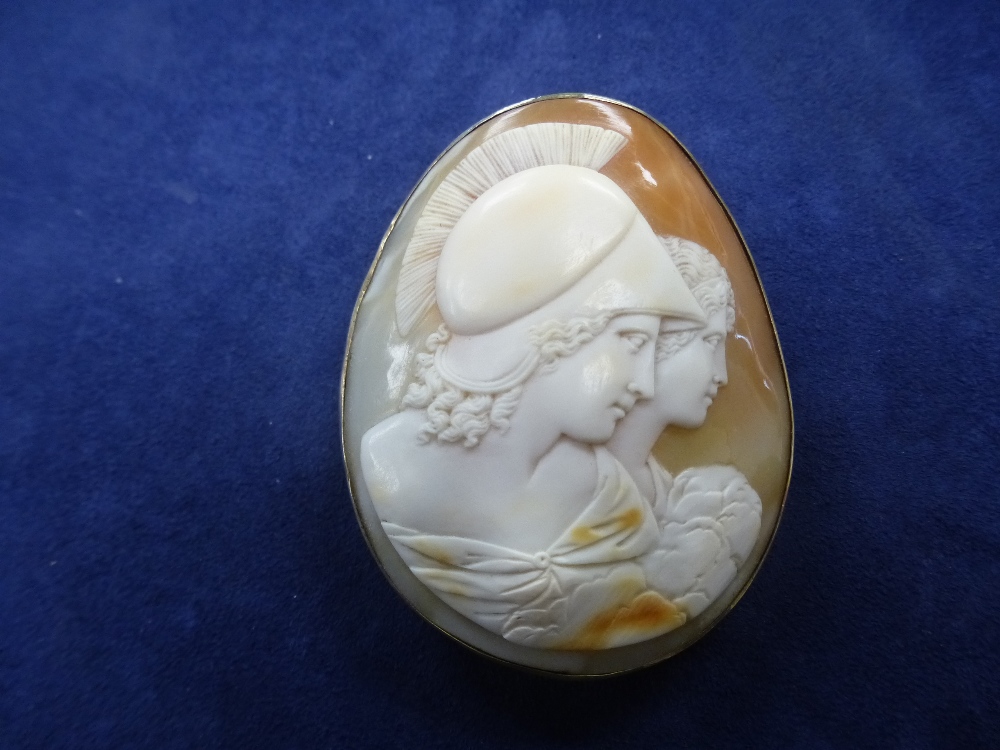 Large shell cameo brooch in metal frame, with safety chain