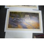 Anthony Gibbs: a pencil signed limited edition print of 'Great White tiger', 120/1500 in