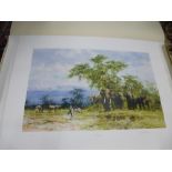 David Shepherd; a pencil signed limited edition print of 'Amboseli' 238/350, in presentation sleeve