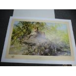 David Shepherd; a pencil signed limited edition print of Leopard, 'The Sentinel' 769/1500 in