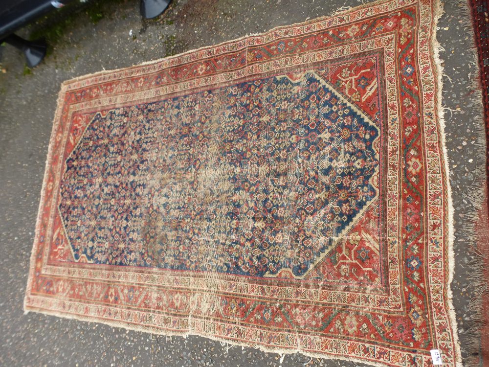 An Afghan rug, having three rows of medallions and one other Caucasian rug, the largest 248 x 208cms - Image 3 of 3