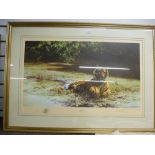 David Shepherd; a large pencil signed print of 'Tiger in the Sun' 685/850 and a similar print '