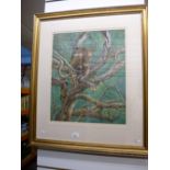 Framed and glazed watercolour of a Leopard in a tree by Terence Balm