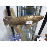 Bronze Carp - m