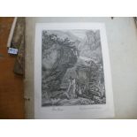 A portfolio containing a large selection of engravings, including landscape and animal subjects by