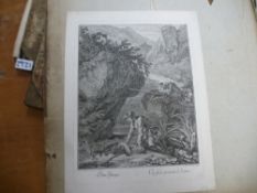 A portfolio containing a large selection of engravings, including landscape and animal subjects by