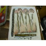 A folder containing a large quantity of drawings, prints and reproductions, the majority by or