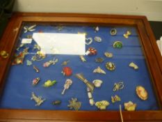 Two glass display cases containing costume brooches and similar