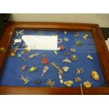 Two glass display cases containing costume brooches and similar