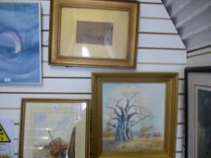 An oil of Boabab tree by Irene Dugan and two other pictures