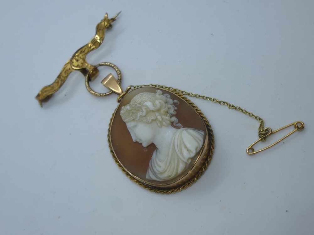 9ct yellow gold cameo pendant hung on a yellow metal bar brooch with safety chain