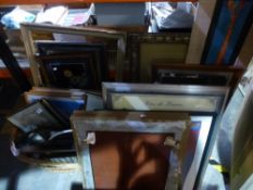 A large quantity of framed prints to include David Shepherd, lions and elephant, with a quantity