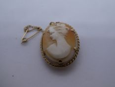 Victorian cameo brooch in 9ct yellow gold mount, marked 375, with safety chain