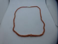 Vintage string of Coral beads, with 9ct gold clasp