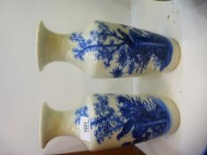 A pair of Chinese blue and white vases, decorated bird in tree, 25 cms