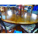Maple Victorian oval quadropod table