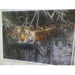 Two pencil signed limited edition prints of Tigers by Steven Townsend and Andrew Hutchinson, and one