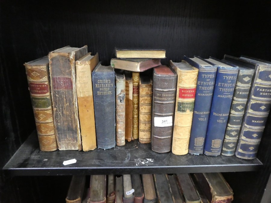 Two shelves of antique leather bound books and others