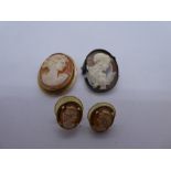 9ct yellow gold cameo brooch marked 375 and pair of 9ct yellow gold cameo earrings also marked 375,