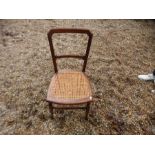 Two framed mahogany cane seat occasional chairs