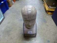 A Phrenology head