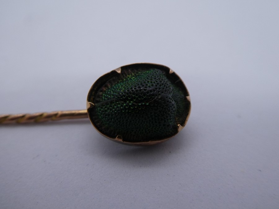 Antique stick pin set with a real Scarab beetle, mounted in possibly 14ct gold mount in antique Lloy