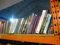 A shelf of assorted books