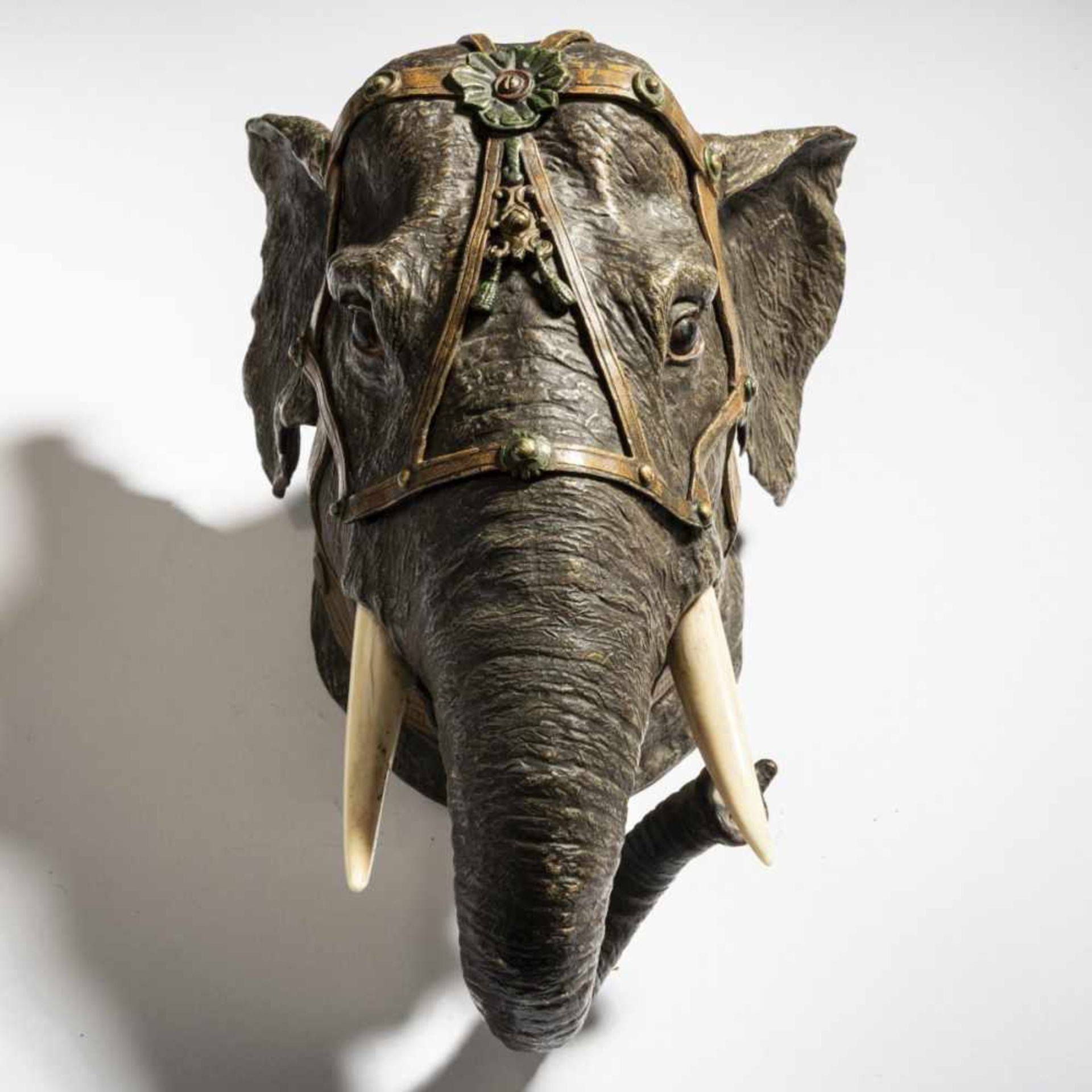 Franz Xaver Bergmann, Elephant head, c. 1900 - Bild 2 aus 6