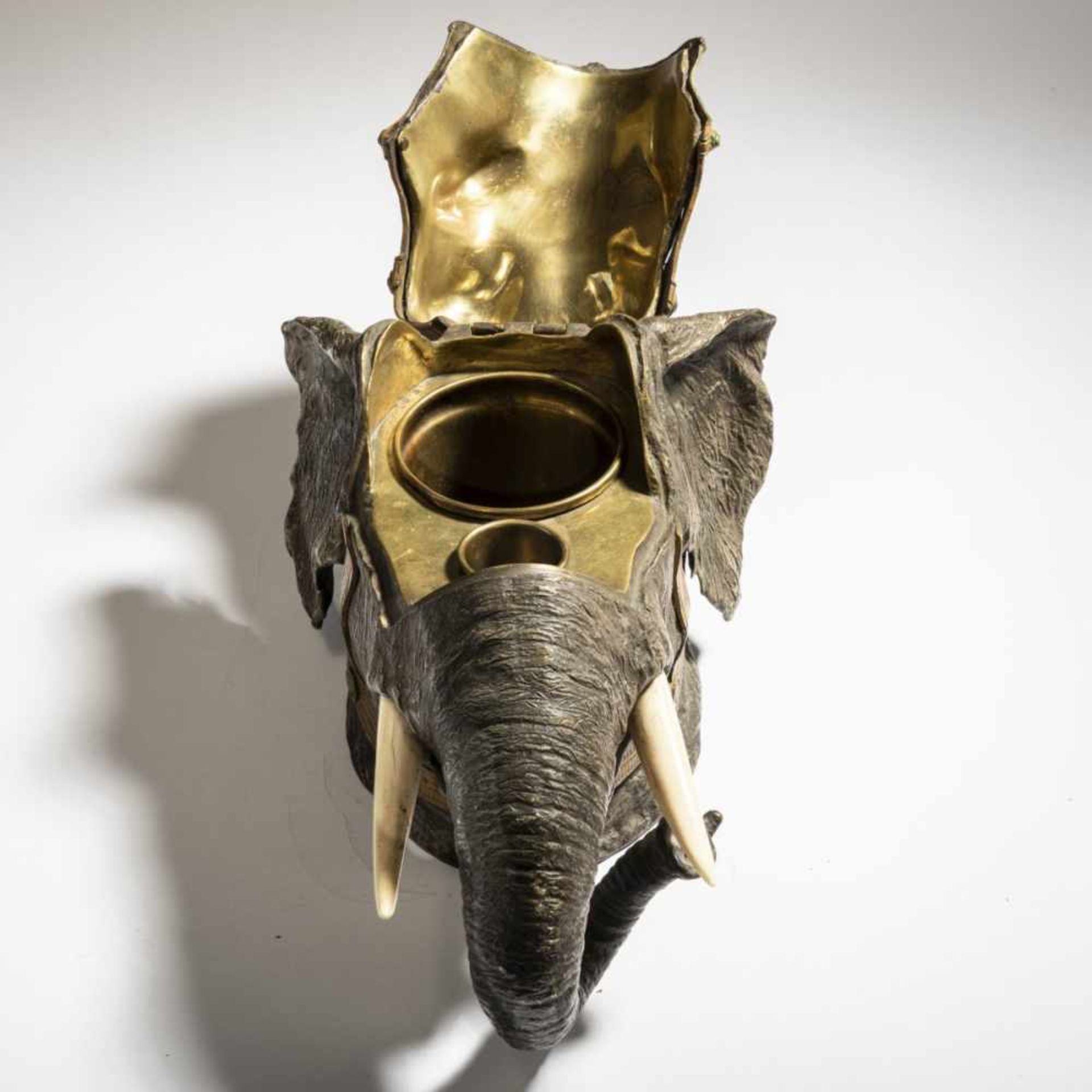 Franz Xaver Bergmann, Elephant head, c. 1900 - Bild 3 aus 6