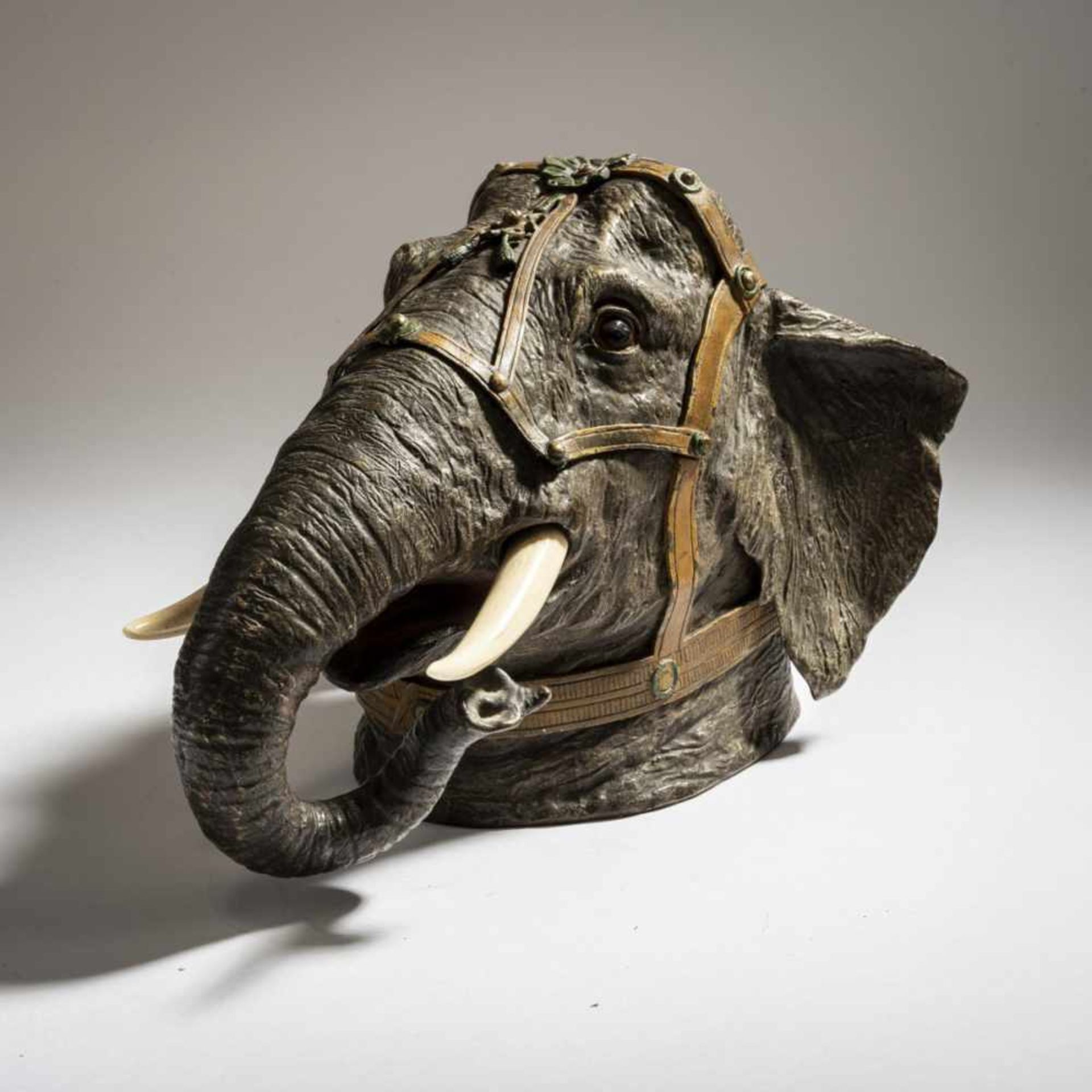 Franz Xaver Bergmann, Elephant head, c. 1900 - Bild 4 aus 6