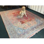 An Indian carpet woven with red field of entwined foliage around a scalloped blue floral