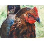 N Cockburn, Edinburgh school oil on linen, study of a chicken, signed, mounted & framed. (9.5in x