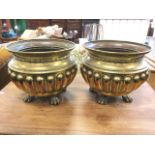 A pair of late nineteenth century large brass jardinieres, the ribbed bulbous pots with waisted